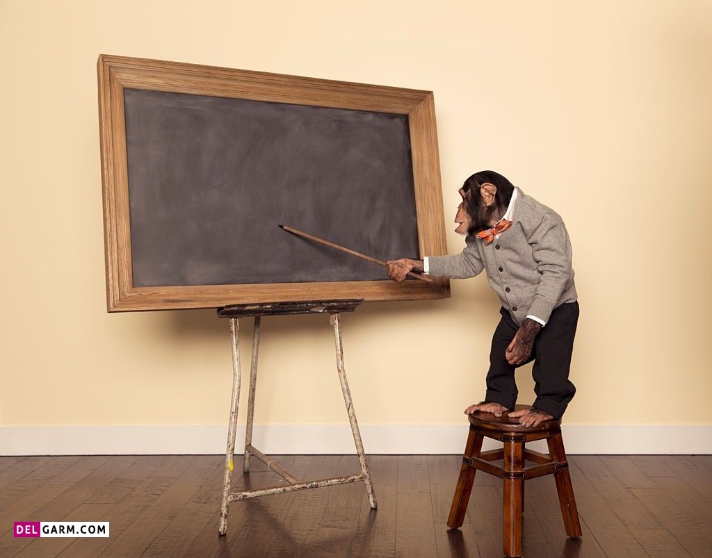 آموزش های نوین