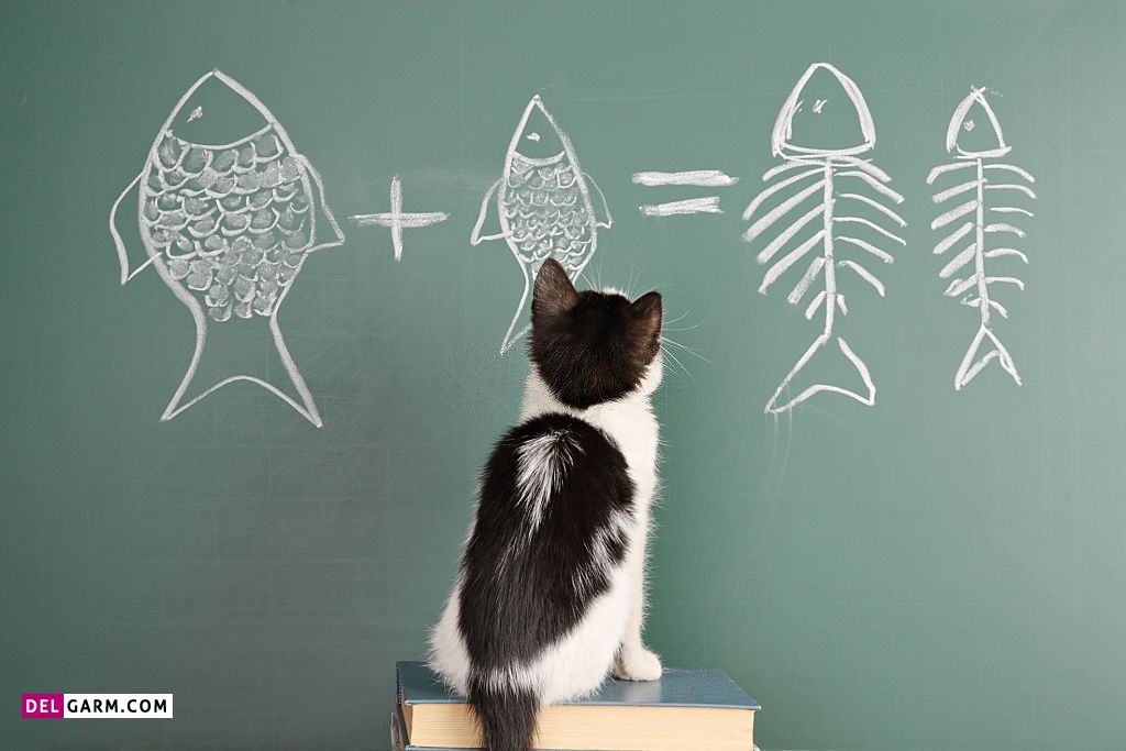 حمله سایبری